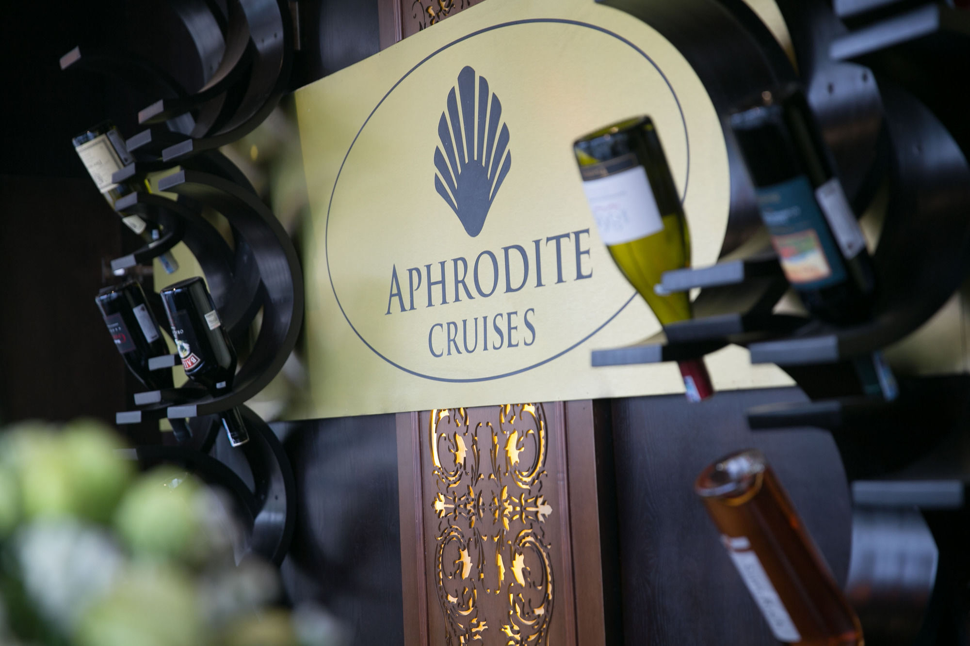 Aphrodite Cruise Ha Long Exterior foto